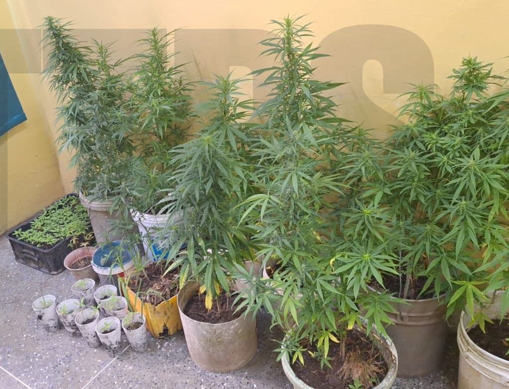 news item image