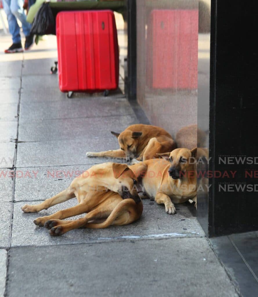 news item image